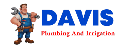 Trusted plumber in PICHER